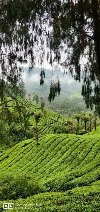 Bella Casa Villa Vagamon